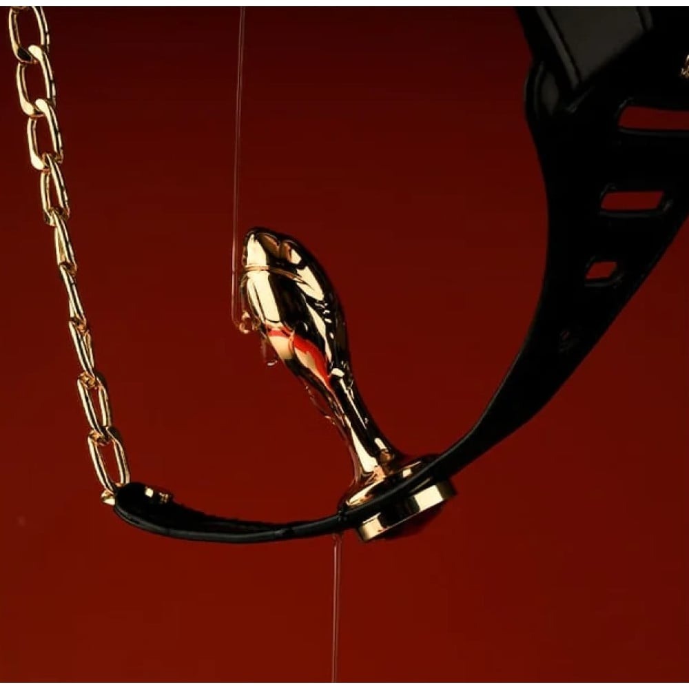  - Пояс вірності Lockink Sevanda Beg & Ask Chastity Pants з повідцем та анальною пробкою, L 11