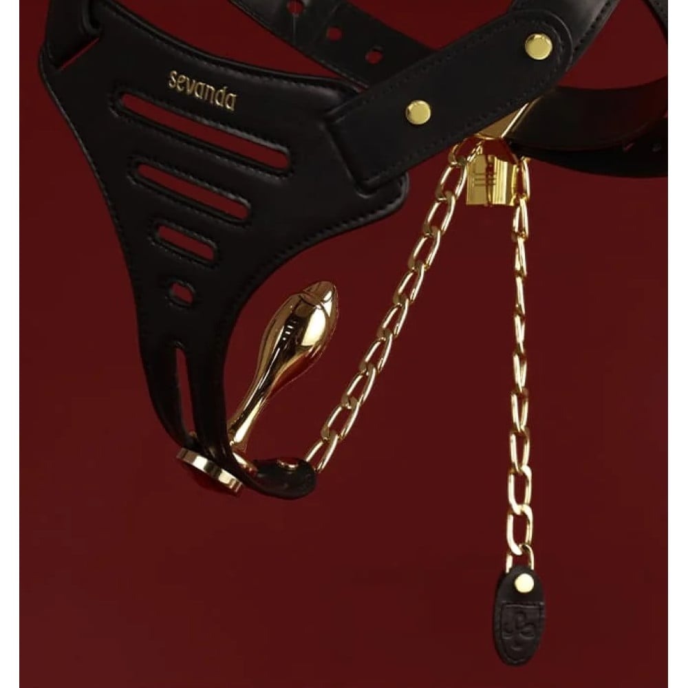  - Пояс вірності Lockink Sevanda Beg & Ask Chastity Pants з повідцем та анальною пробкою, L 12