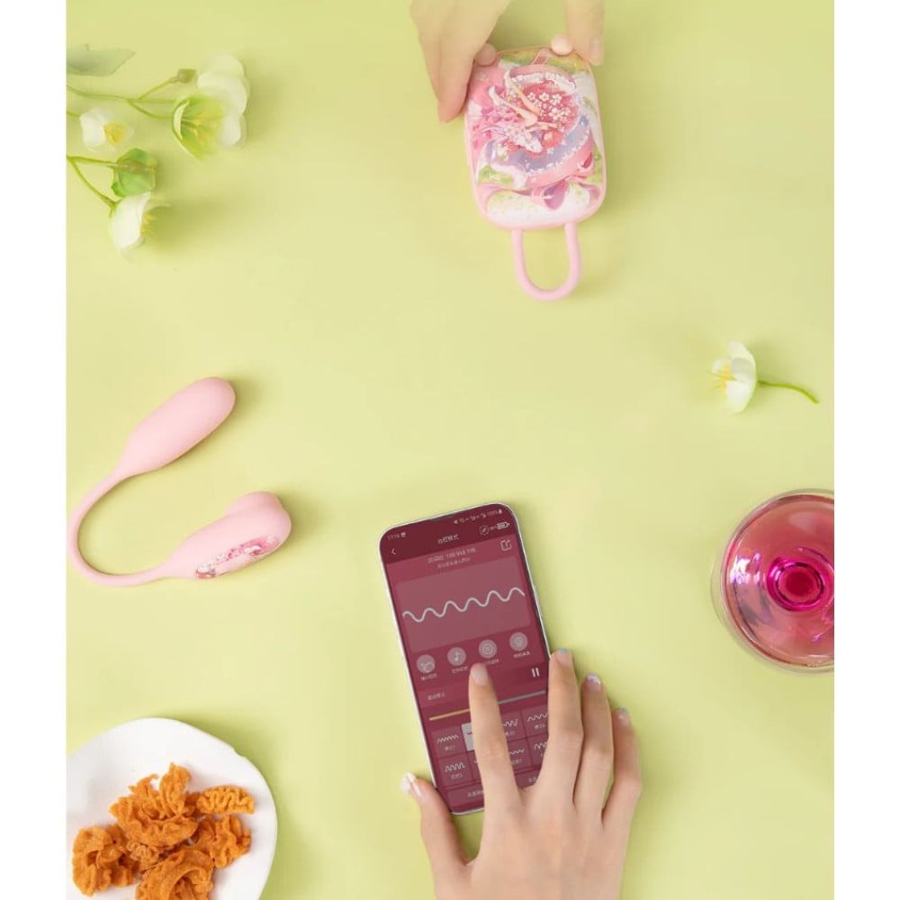  - Віброяйце та вакуумний стимулятор для клітора 2в1 BeYourLover Magic Suitcase у зарядному кейсі 5