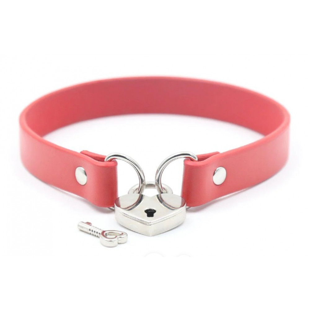 БДСМ игрушки - Ошейник DS Fetish DS Fetish Locking collar red