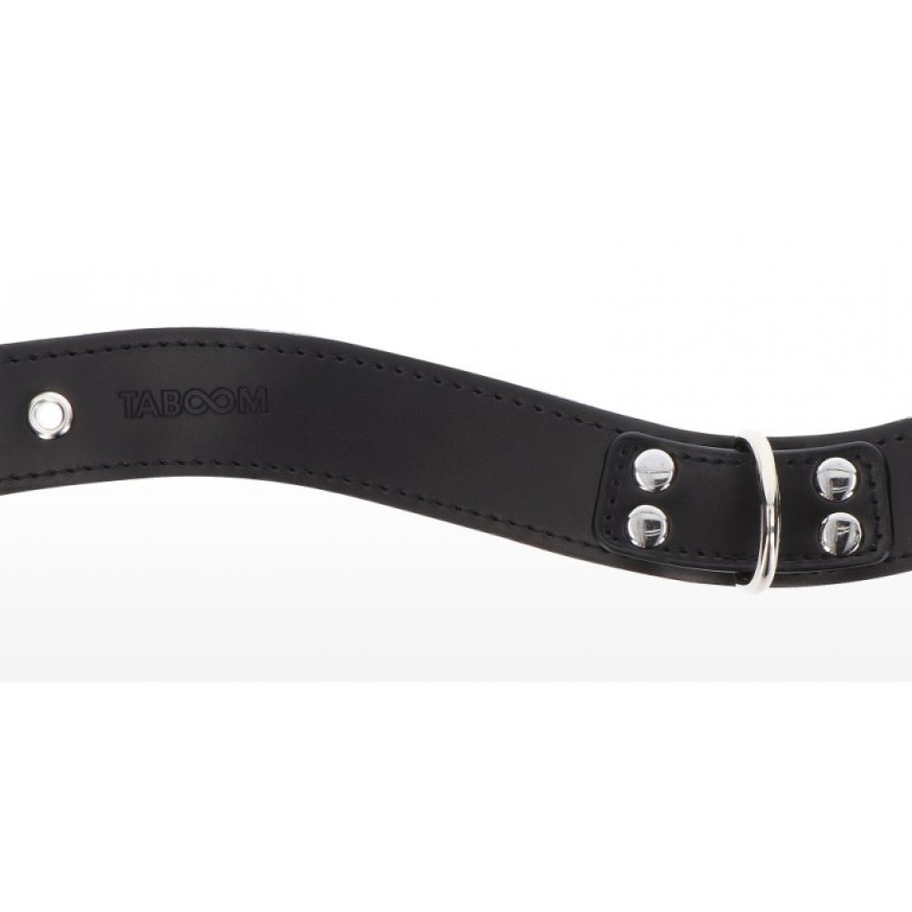 Різне - Нашийник з фіксатором Taboom, чорний 4