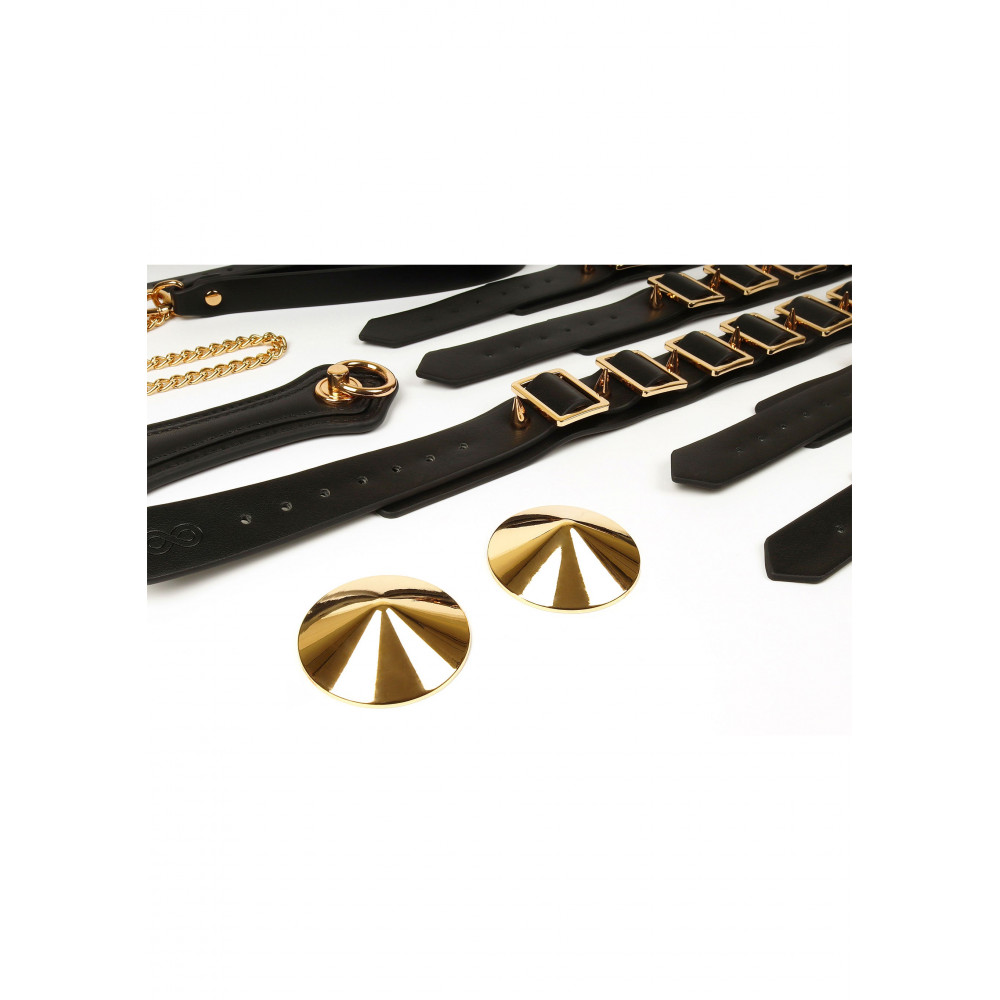 БДСМ игрушки - Шкаф-чемодан для БДСМ-аксессуаров TABOOM Desires Masterpiece Case, 11 предметов 15