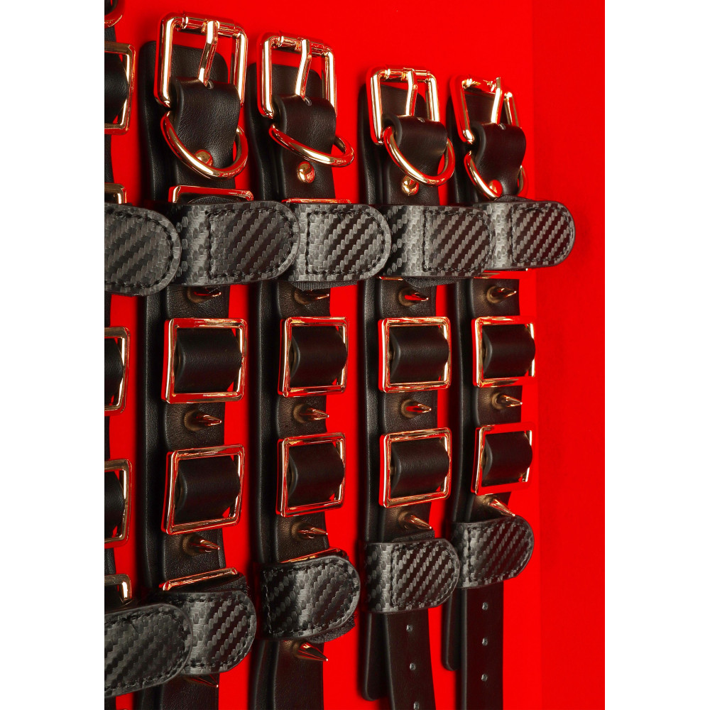 БДСМ игрушки - Шкаф-чемодан для БДСМ-аксессуаров TABOOM Desires Masterpiece Case, 11 предметов 2