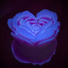 Cвiчка люмінісцентна низькотемпературна GlowKink фіолетова, М