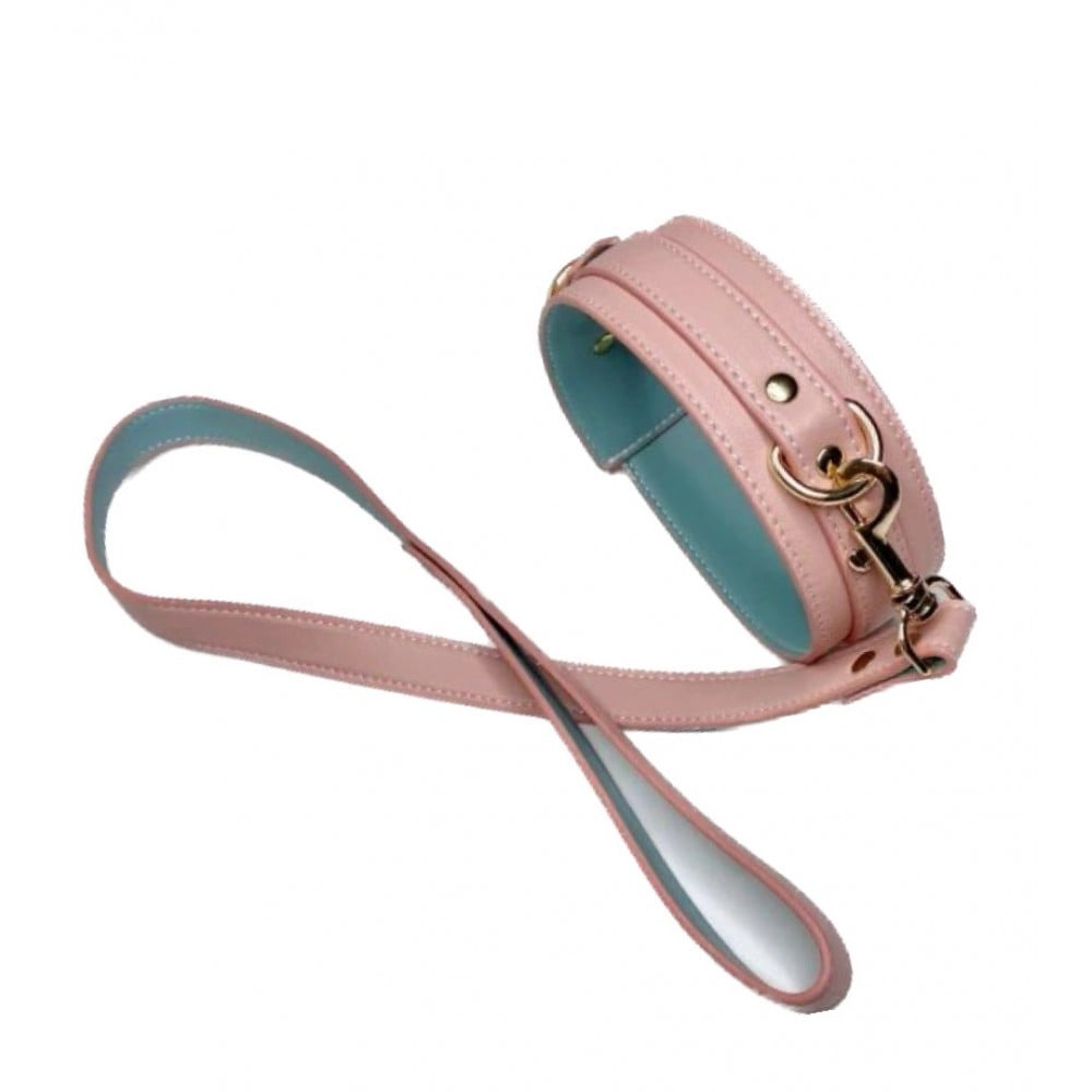 БДСМ игрушки - Ошейник с поводком DS Fetish Collar with leash pink