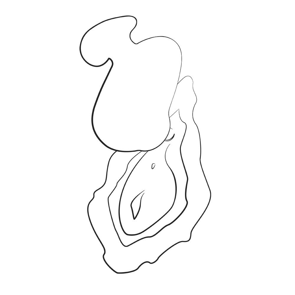 Разное - Вибратор с вакуумно-пульсирующей стимуляцией ROMP Kiss оранжевый 6