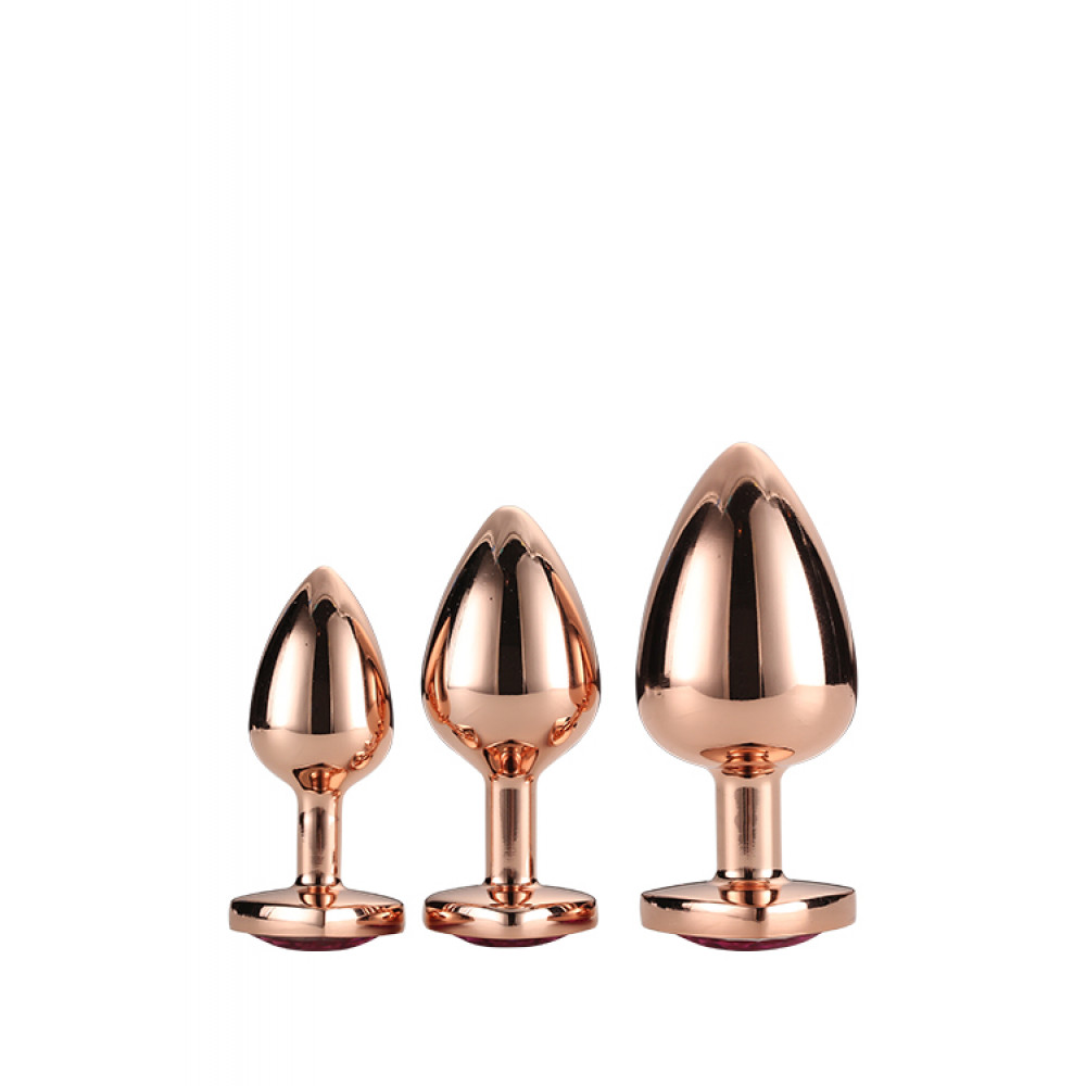 Анальные игрушки без вибрации - Набор анальных пробок GLEAMING LOVE ROSE GOLD PLUG SET 2
