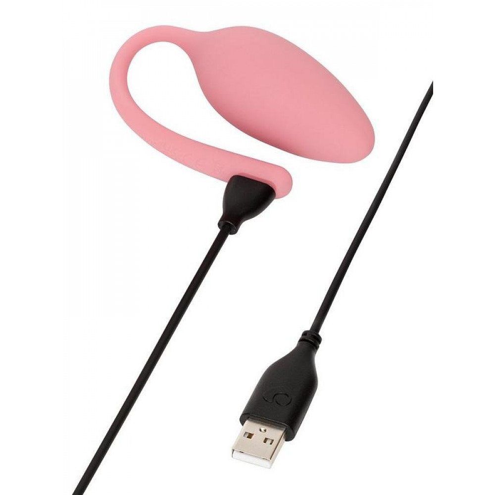 Разное - Виброяйцо с пультом дистанционного управления Lovehoney Mon Ami, розовое 1