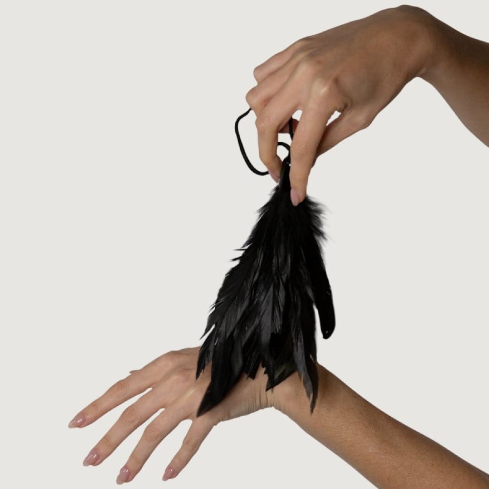  - Пірья для лоскотання Adrien Lastic Prestige чорні 3