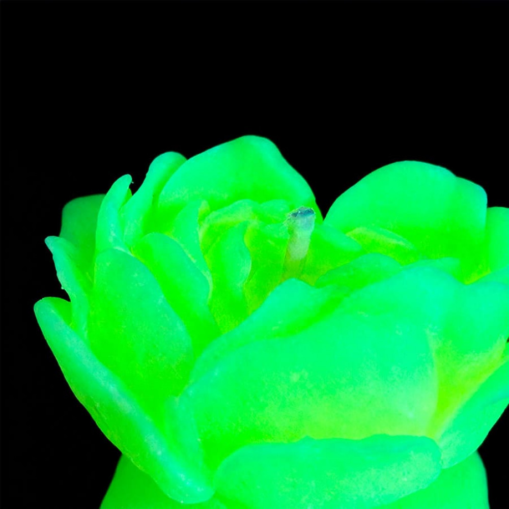 Різне - Cвiчка люмінісцентна низькотемпературна GlowKink салатова, M 43