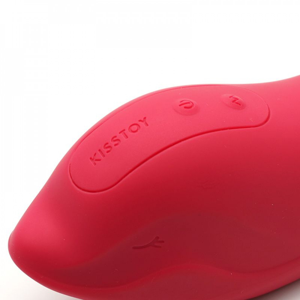 Вибропули и мини-вибраторы - Вибратор и клиторальный стимулятор KISTOY Heidi Red 8