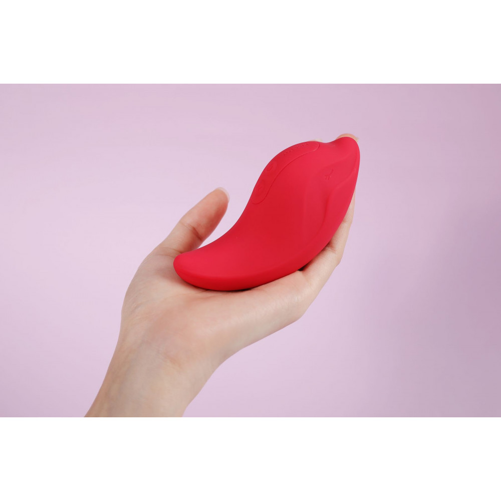 Вибропули и мини-вибраторы - Вибратор и клиторальный стимулятор KISTOY Heidi Red 13