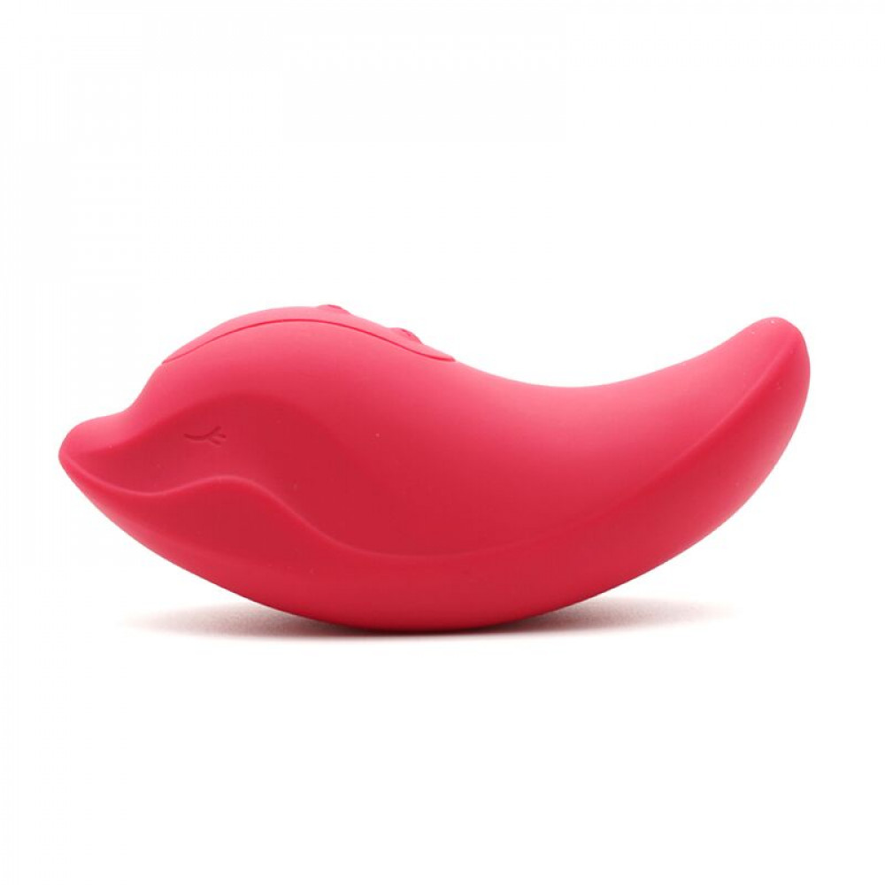 Вибропули и мини-вибраторы - Вибратор и клиторальный стимулятор KISTOY Heidi Red 5