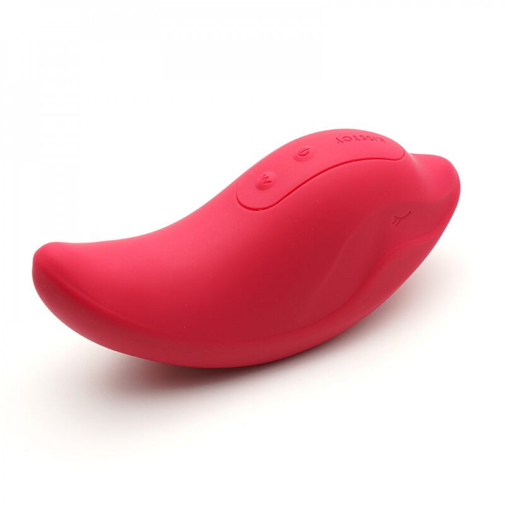 Вибропули и мини-вибраторы - Вибратор и клиторальный стимулятор KISTOY Heidi Red 6