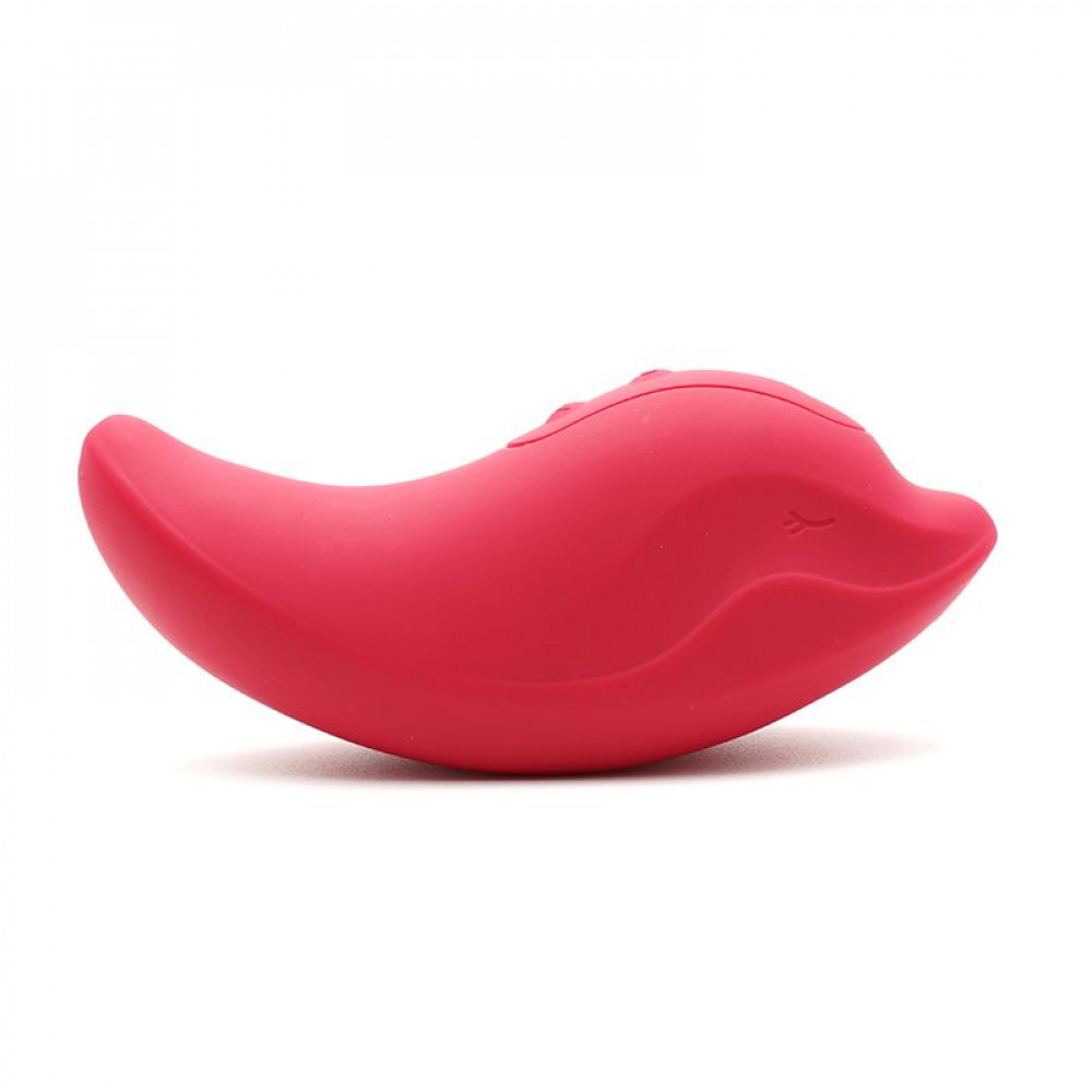 Вибропули и мини-вибраторы - Вибратор и клиторальный стимулятор KISTOY Heidi Red