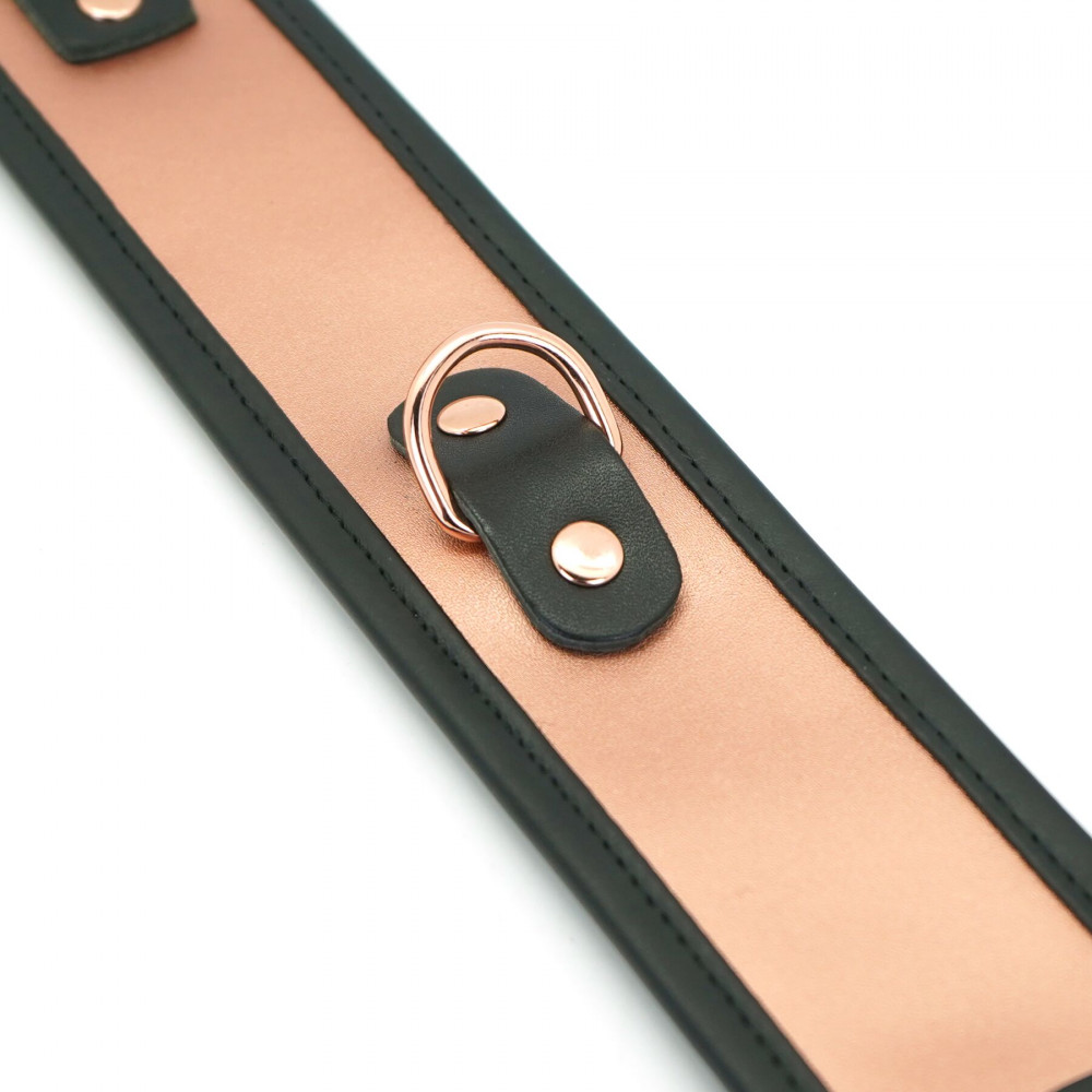 Ошейники, поводки - Ошейник с поводком Liebe Seele Rose Gold Memory Collar with Leash 4