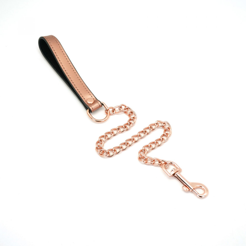 Ошейники, поводки - Ошейник с поводком Liebe Seele Rose Gold Memory Collar with Leash 7