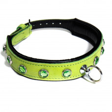 Ошейник со стразами тонкий DS Fetish кожаный, салатовый (Голландия)