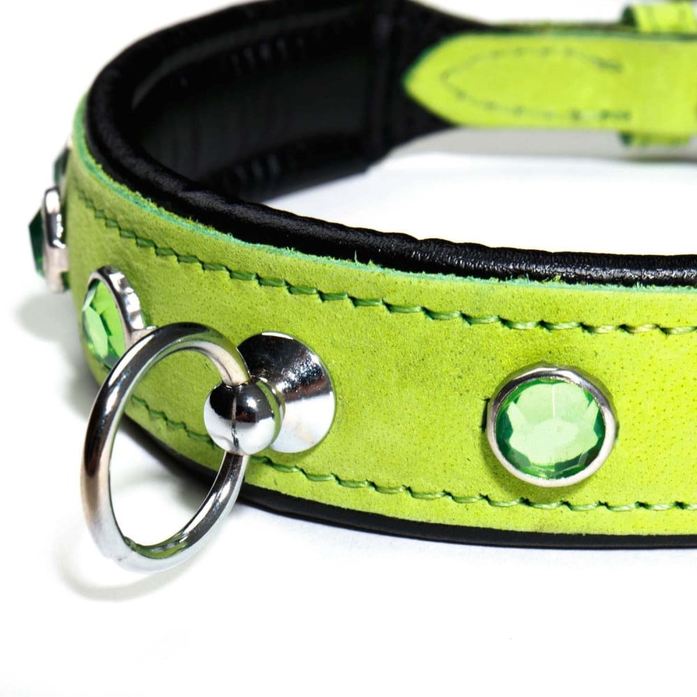 Разное - Ошейник со стразами тонкий DS Fetish кожаный, салатовый (Голландия) 1